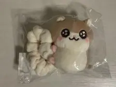 RIIZE ウンソク シュシュ ぬいぐるみ - メルカリ