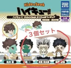 ハイキュー‼︎ Hide&Seek かくれんぼフィギュア 木兎　赤葦　岩泉　セット