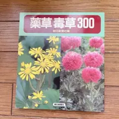 薬草・毒草300