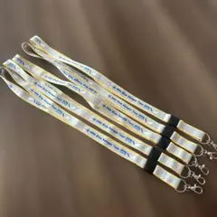 Item thumbnail for item 0d5e9990-d6ef-4f47-af88-c4c39927c7e0