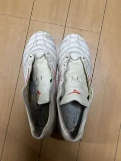 ミズノ モナルシーダ