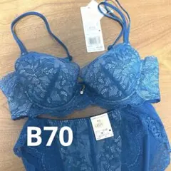 ワコール ウイング レシアージュ