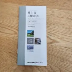 東急不動産株主優待券 1000株用