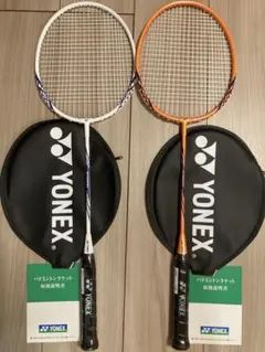 Item thumbnail for item a72ee9f5-d8c8-4a04-b130-9b343678edc7