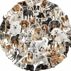 犬　ステッカー　ランダム　20枚セット リアル　可愛い