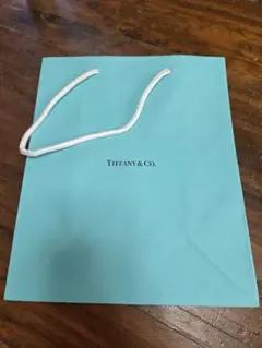 Tiffany & Co. ショップ袋 水色 再利用可能