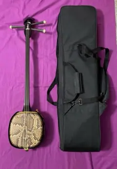 2025年最新】三線 蛇皮の人気アイテム - メルカリ