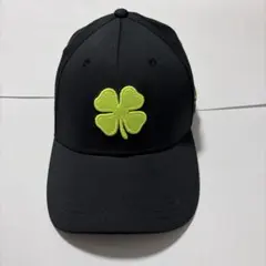 Item thumbnail for item 3050889e-cdf5-4cbb-8755-4df28664727a