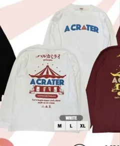 ハルカミライ 武道館限定 A CRATER ロンT ホワイト Lサイズ