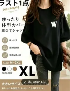 接触冷感　Tシャツ　ブラック　ゆったり　体型カバー　カジュアル　通気性　ソフト