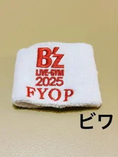 Item thumbnail for item 35b09ddb-37f6-4543-8dcc-1ca2263602af