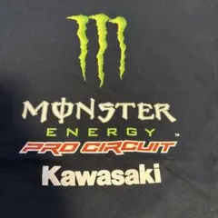 Monster Energy Pro Circuit Kawasaki Ｍサイズのサムネイル