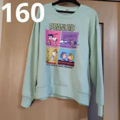 新品PEANUTSスヌーピートレーナー160のサムネイル