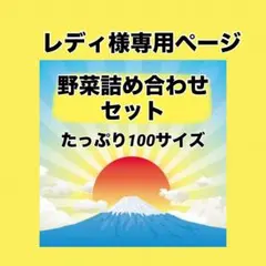 レディ様専用ページ‼️野菜詰め合わせセット100
