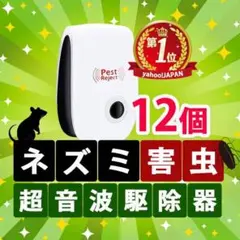 Item thumbnail for item 40053e50-30f3-414a-b13e-7d8e3a5ac7cd