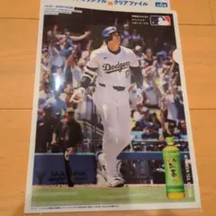 Item thumbnail for item a76571e9-35c3-4bfb-91eb-a506d4c0c1d1