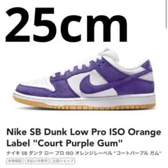 Nike SB Dunk Low Pro ISO Orange Label
