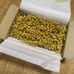 Item thumbnail for item 9129e946-1f40-4a9a-b306-be46f6d93726