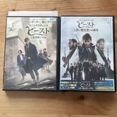 ファンタスティック・ビーストと魔法使いの旅＆黒い魔法使いの誕生　DVDセット