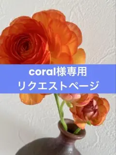 coral様 リクエスト 3点 まとめ商品