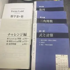 Focus Gold 4th Edition 数学II+B