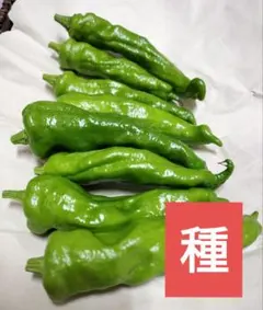 user_1dd391a5様 リクエスト 3点 まとめ商品