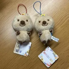 2025年最新】君の花になるの人気アイテム - メルカリ