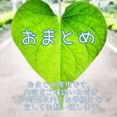 4/17　Nana様 リクエスト 2点 まとめ商品