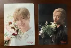 トリンプ　佐藤新　限定カード【2枚セット】