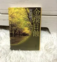 金環日蝕 阿部暁子 創元推理文庫