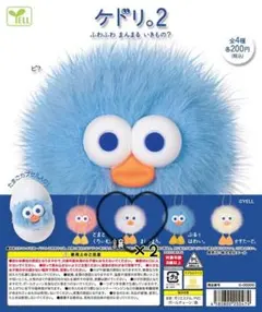 ケドリ。2