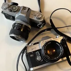 Item thumbnail for item 0ea647ef-0078-422f-93df-5d2956947d82