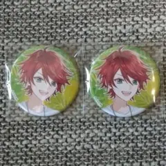 バラ売り可♡からぴち夏休み＊東京ドームシティ＊じゃぱぱさん♡缶バッジ