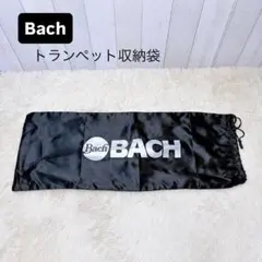 Item thumbnail for item 62c2c462-a4e1-43f9-ac60-59ab3b7a7b53