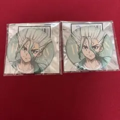 Dr.stone ミックスガーデン 缶バッジ 石神千空