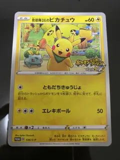 ポケカまとめ売り、カナザワピカチュウ、 救助隊DXのピカチュウなどコレクションに ポケカまとめ売り、カナザワピカチュウ、 救助隊DXのピカチュウなど