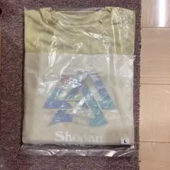 湘南国際マラソン2025 Tシャツ The North Face メンズLサイズ