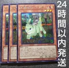 遊戯王　未界域のジャッカロープ　シークレット　3枚　未開域のジャッカロープ