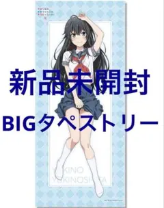 篠原いよ 等身大両面タペストリー 篠原いよ 等身大両面タペストリー - メルカリ