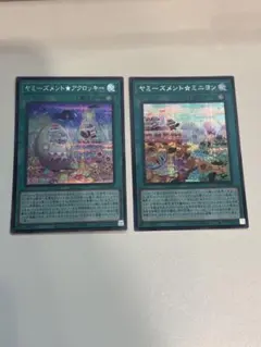ヤミーズメントミニヨン　アクロッキーセット