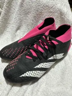 Item thumbnail for item 68ed6ca6-c0cb-4892-b25b-2ce57914fc97