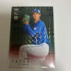 Item thumbnail for item 31490495-de56-47e6-a126-5d3c011648c4