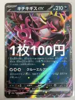 2026年最新】キチキギスex 2枚の人気アイテム - メルカリ