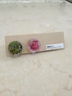 ハンドメイド　琉球ガラス　ドライフラワー　レジン　イヤリング