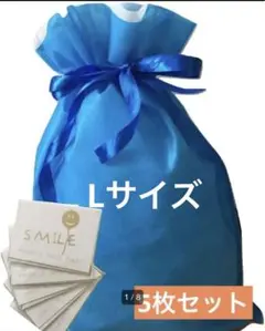 ⭐️プレゼント⭐️ラッピング 袋 5枚　メッセージカード付き　スカイブルー, L