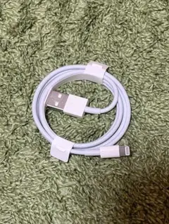 Apple 순정 Lightning USB-A 충전 케이블