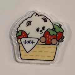 TXT ACT PROMISE プルバトゥ アクリルバッジ 福岡 バムグッ