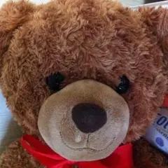 きい様専用ページ★