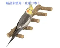 Item thumbnail for item afa1324f-0e3d-482f-932a-bf2721db0d6f