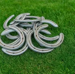 Lucky horse shoe 競走馬蹄鉄10個
